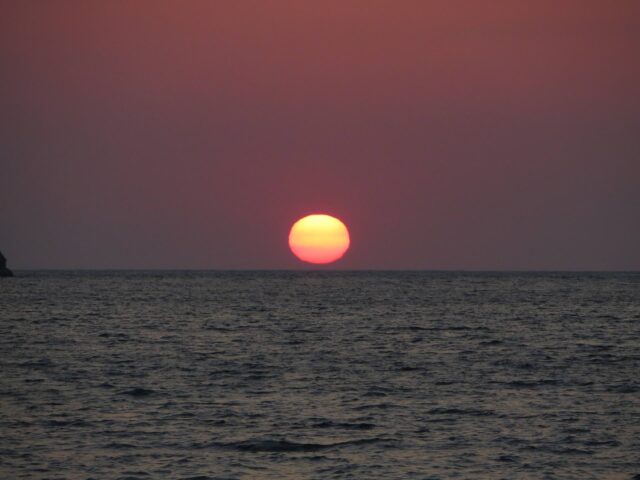Orangensonne