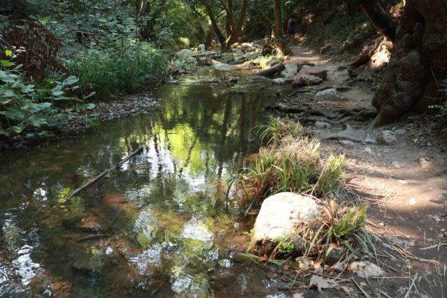 Pfad zum Wasserfall