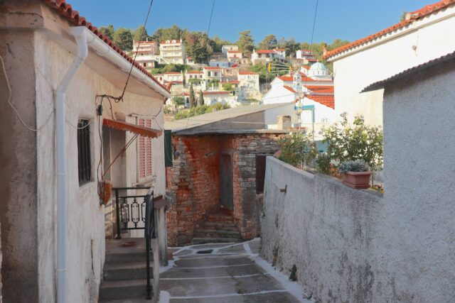 Plátanos