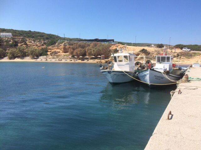 Limionas